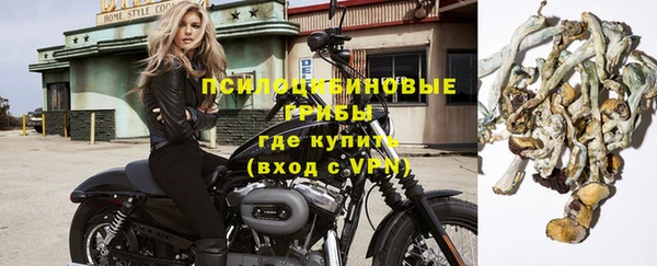 мескалин Арсеньев