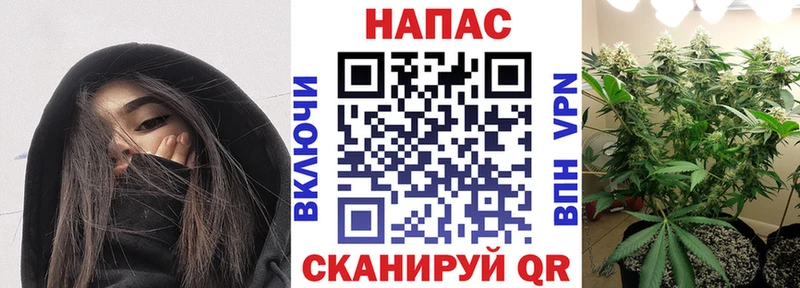 Каннабис семена blacksprut сайт Дыгулыбгей